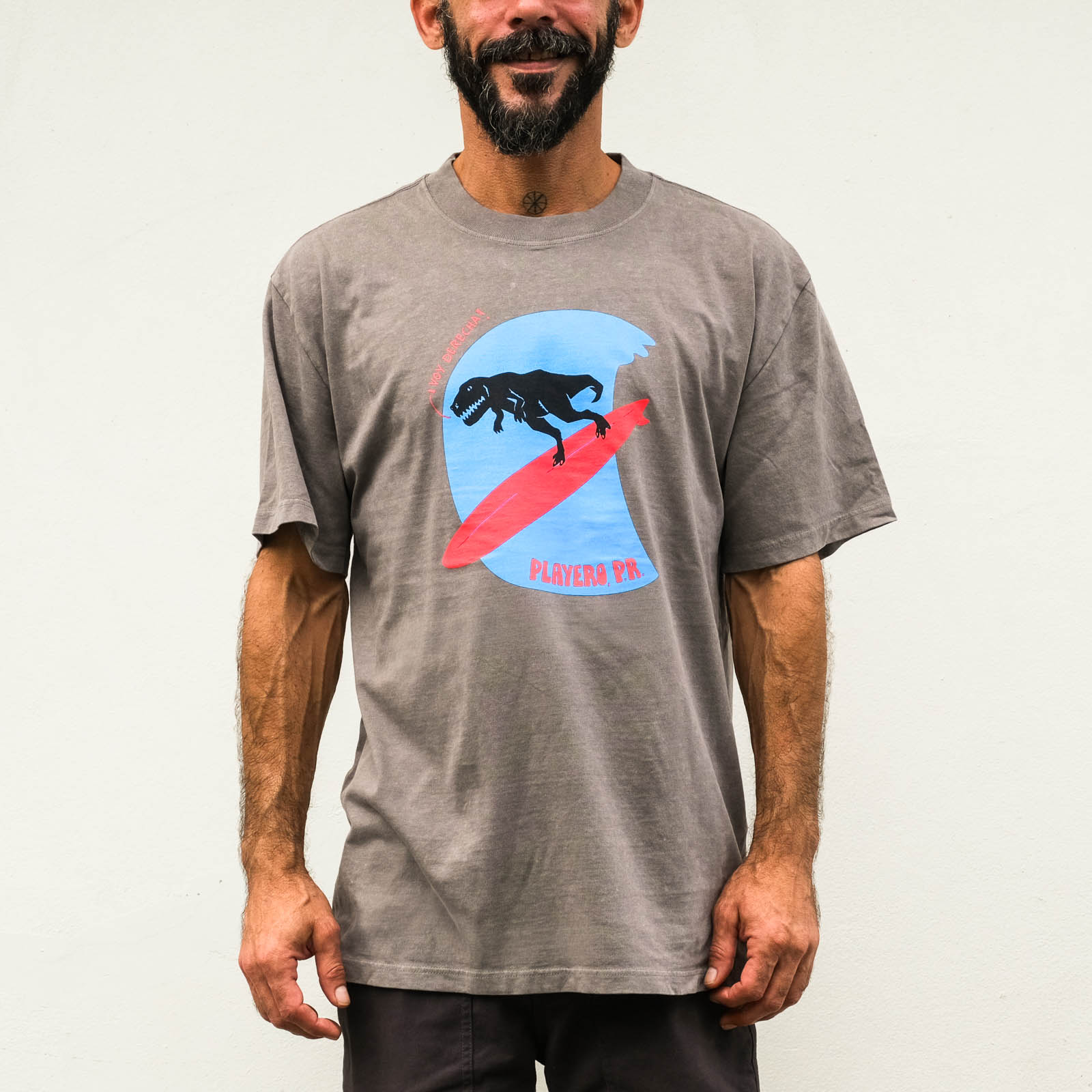 T-Rex Heavy Wash Tee Grey